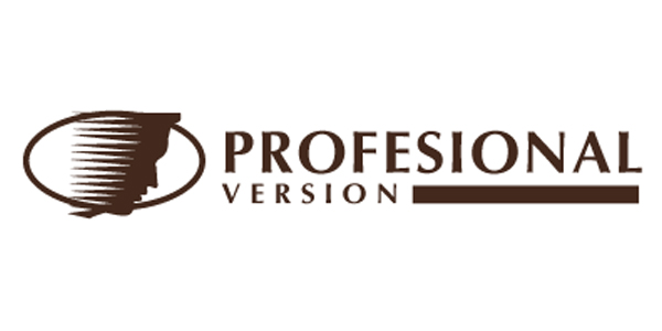 version-profesional-islachica_logo